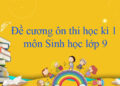 đề cương ôn tập sinh 9 học kì 1