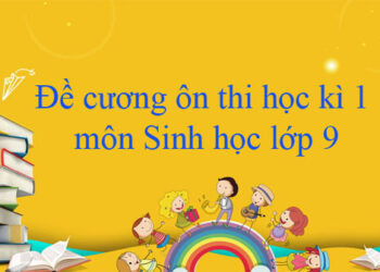 đề cương ôn tập sinh 9 học kì 1