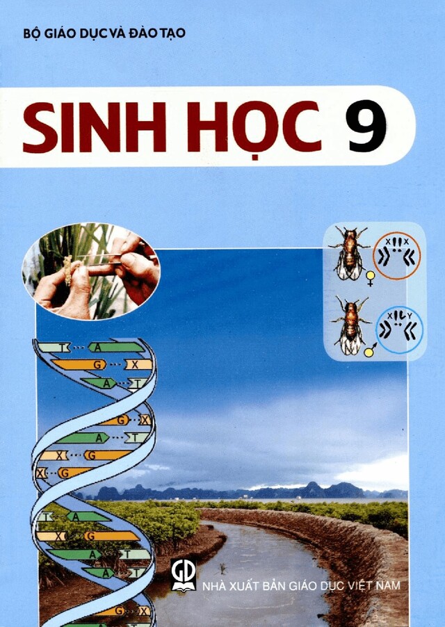 đề cương ôn tập sinh 9 học kì 2