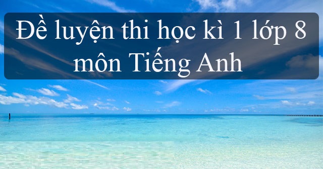 đề cương ôn thi tiếng anh lớp 8 học kì 1 có đáp án