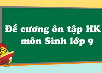 đề cương sinh học 9 hk2