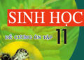 Đề cương ôn tập Sinh học 11