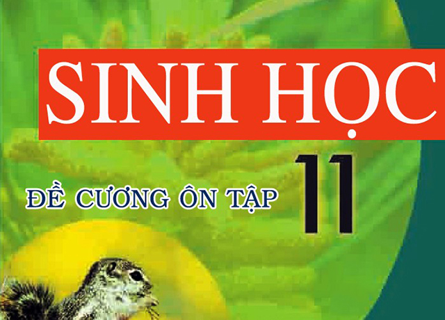 Đề cương ôn tập Sinh học 11