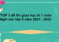 đề thi giữa kì 1 văn 9-1