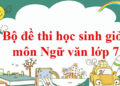 Đề thi học sinh giỏi Ngữ Văn lớp 7