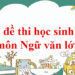 Đề thi học sinh giỏi Ngữ Văn lớp 7
