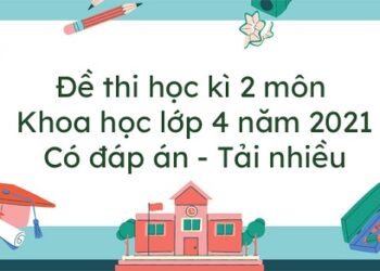 đề thi khoa học lớp 4-1