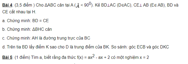 Đề thi toán lớp 7 học kì 2 có đáp án 3