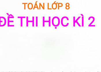 Đề thi toán lớp 8 học kì 2-1