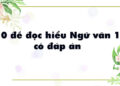 đề đọc hiểu ngữ văn 11 có đáp án