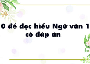 đề đọc hiểu ngữ văn 11 có đáp án