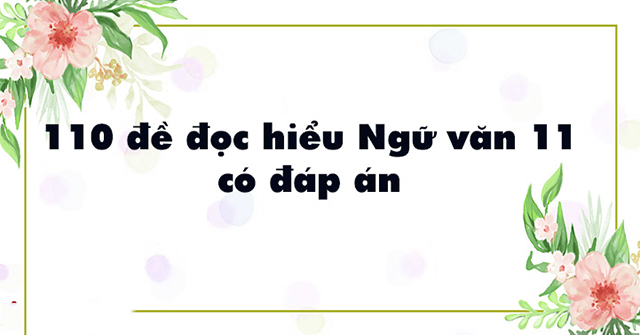 đề đọc hiểu ngữ văn 11 có đáp án