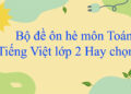 Bộ đề ôn hè môn toán tiếng việt lớp 2 hay chọn lọc