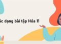 các dạng bài tập hoá 11-1