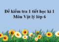 đề kiểm tra 1 tiết vật lý 6 học kì 1