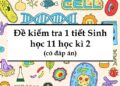 đề kiểm tra 1 tiết sinh học 11 học kì 2