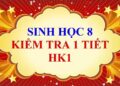 đề kiểm tra 1 tiết sinh học 8 hk1