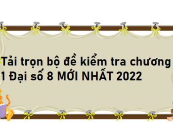 đề kiểm tra chương 1 đại số 8