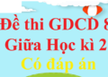 đề kiểm tra gdcd 8 học kì 2