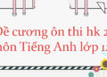 Đề kiểm tra Tiếng Anh lớp 12 học kì 2