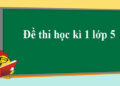 đề kiểm tra cuối kì 1 lớp 5