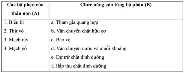 đề kiểm tra 1 tiết môn sinh học lớp 6-3