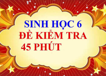 đề kiểm tra 1 tiết môn sinh học lớp 6-4