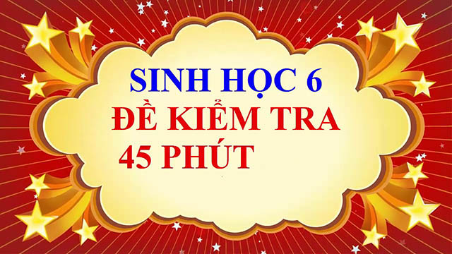 đề kiểm tra 1 tiết môn sinh học lớp 6-4