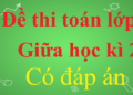 đề thi toán học kì 2 lớp 8-13