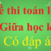 đề thi toán học kì 2 lớp 8-13