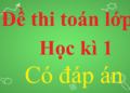 đề thi toánlớp 8 học kì 1 có lời giải