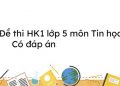 (MIỄN PHÍ) Tải trọn bộ đề thi Tin học lớp 5 học kỳ I – II có đáp án