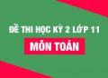 50+ Đề thi học kì 2 Toán 11 năm 2022 mới nhất [Có đáp án]