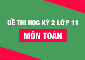 50+ Đề thi học kì 2 Toán 11 năm 2022 mới nhất [Có đáp án]