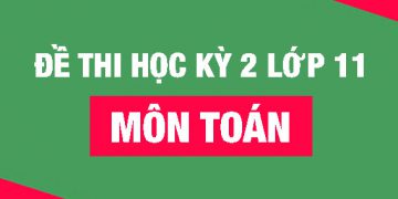 50+ Đề thi học kì 2 Toán 11 năm 2022 mới nhất [Có đáp án]