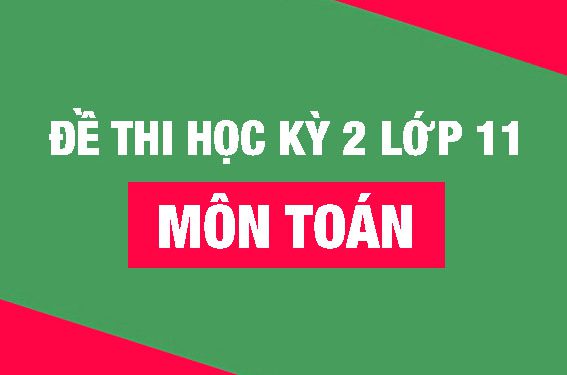 50+ Đề thi học kì 2 Toán 11 năm 2022 mới nhất [Có đáp án]