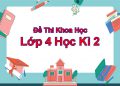 Đề thi khoa học lớp 4 học kỳ 2