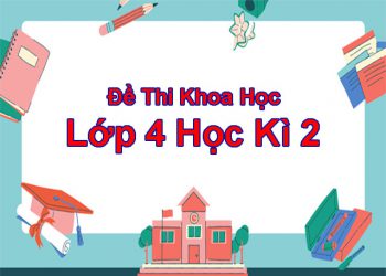 Đề thi khoa học lớp 4 học kỳ 2